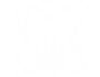 Continuous Innovation